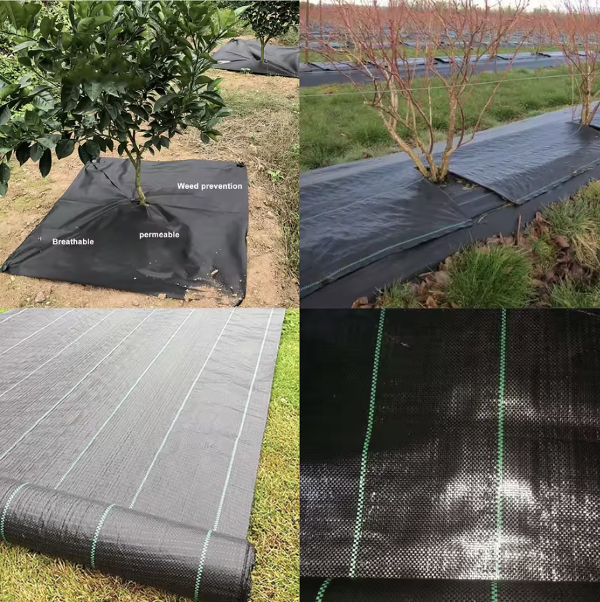 Agricultural Anti Grass Cloth Fabric Ground Cover Landscape