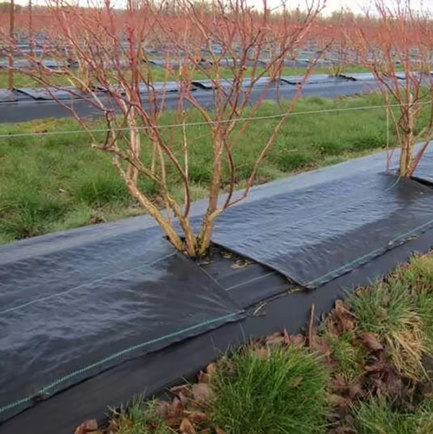 Agricultural Anti Grass Cloth Fabric Ground Cover Landscape