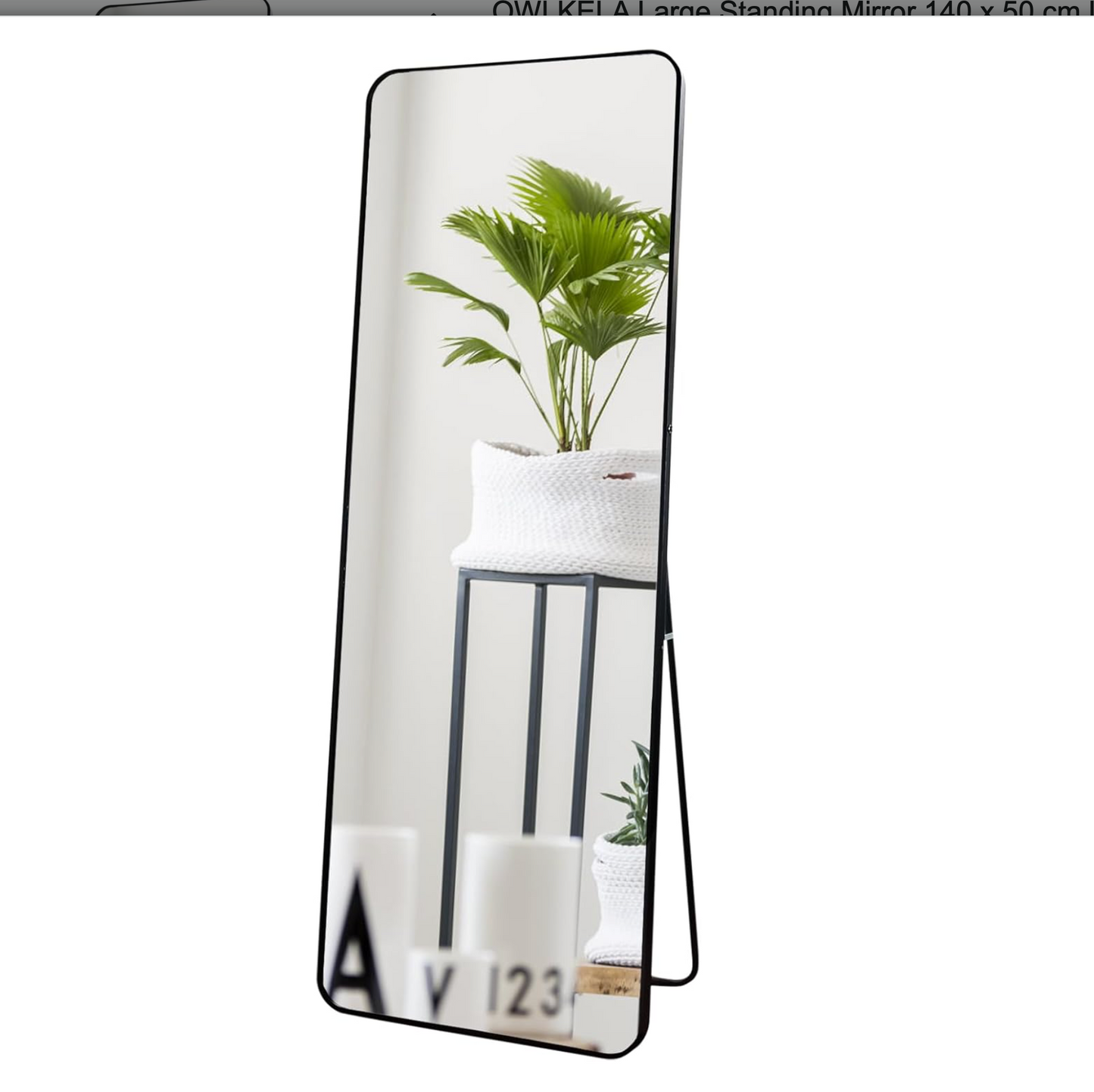 Standing Mirror 150 x 50 cm Large Wall Mirror for Bedroom Living Room Black