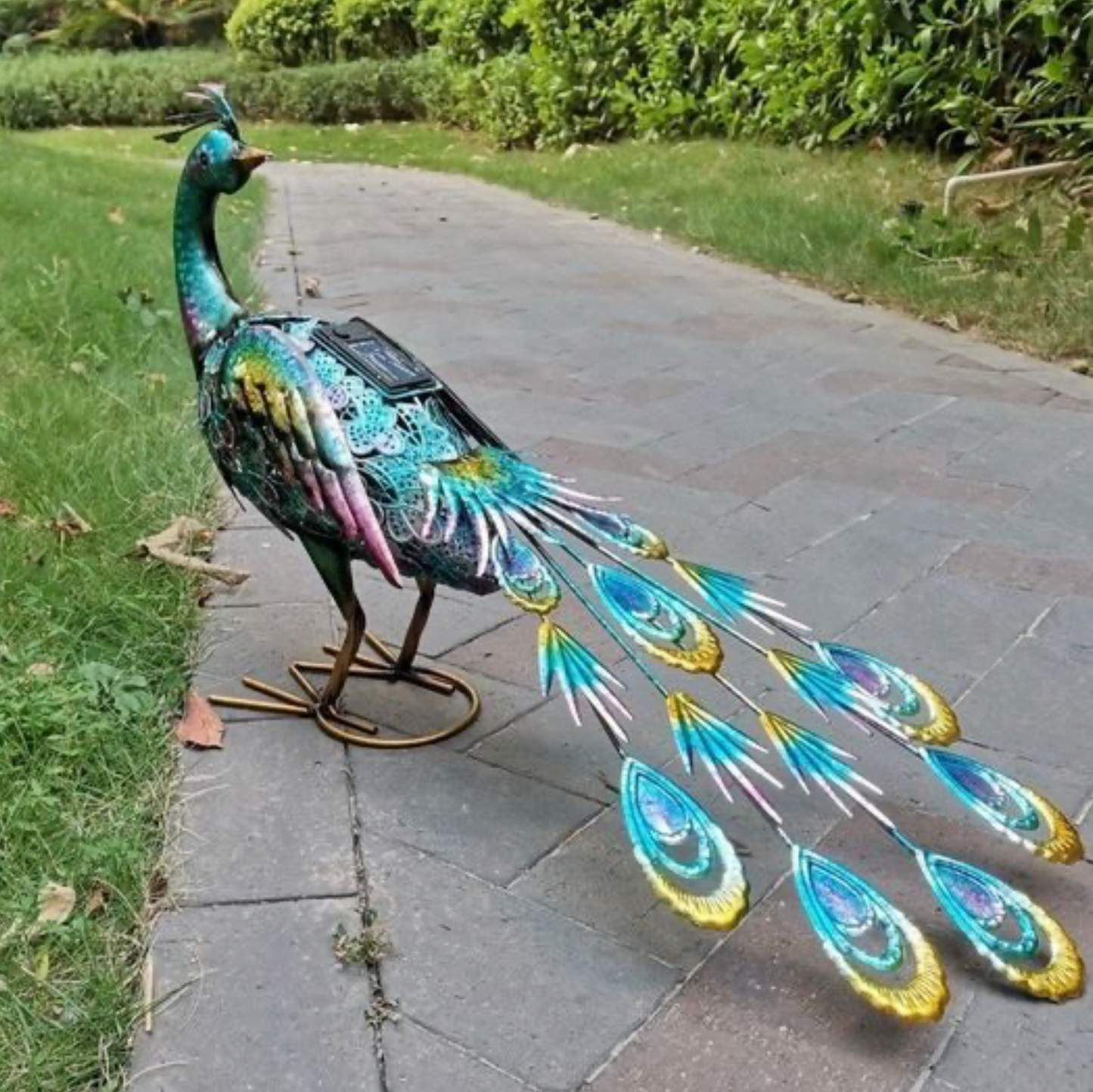 Painted Peacock with Solar Lights