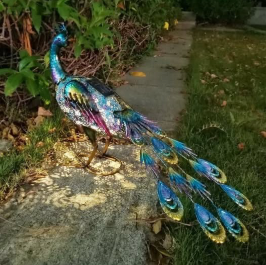 Painted Peacock with Solar Lights