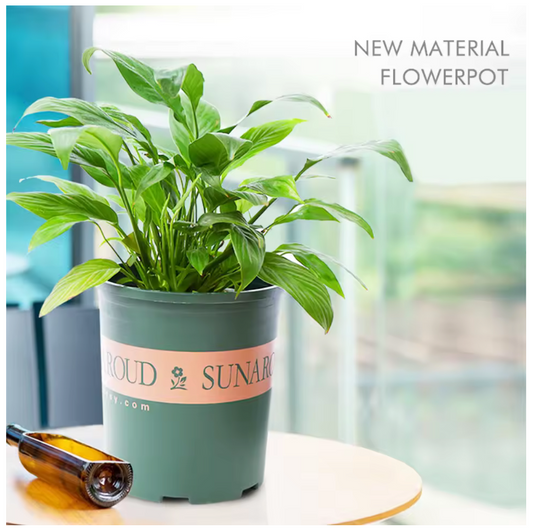 5 Gallon Green Plant Pot High Stunky Plastic