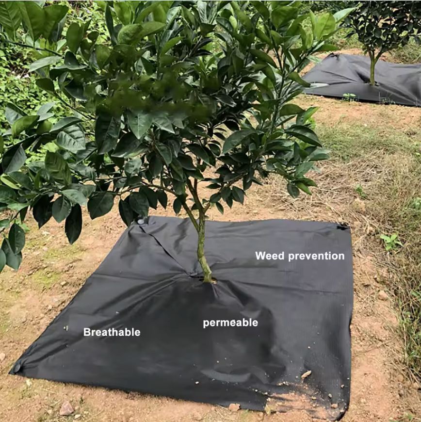 Agricultural Anti Grass Cloth Fabric Ground Cover Landscape