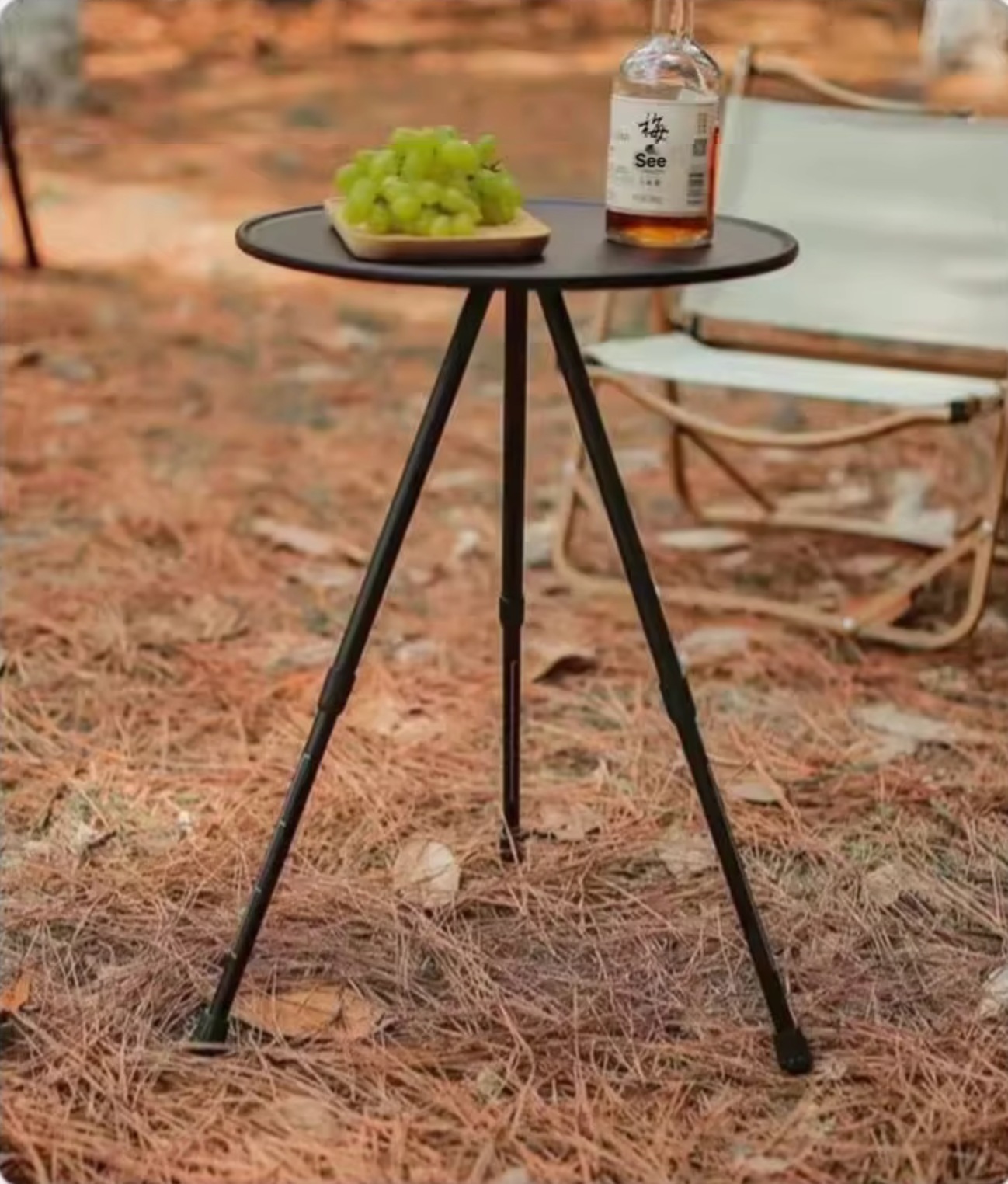 Stainless Steel OutdoorSmall round Table Camping Leisure