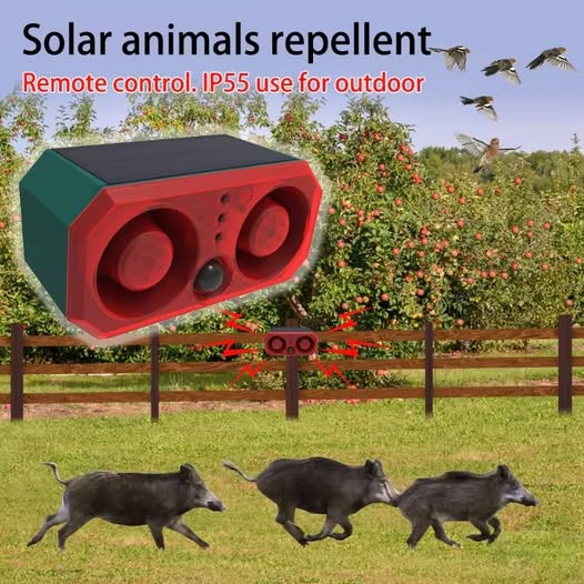 Motion Detector Alarm Light with Remote for Farm/Home